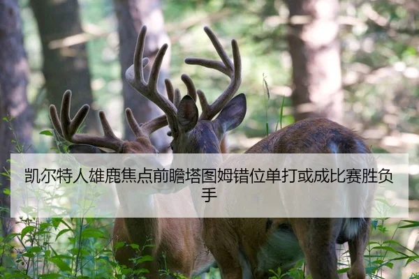 凯尔特人雄鹿焦点前瞻塔图姆错位单打或成比赛胜负手